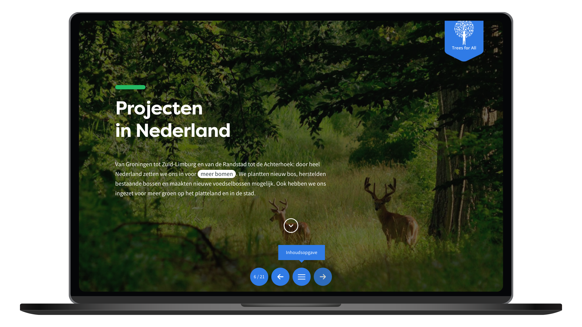 Treesforall-pagina-header